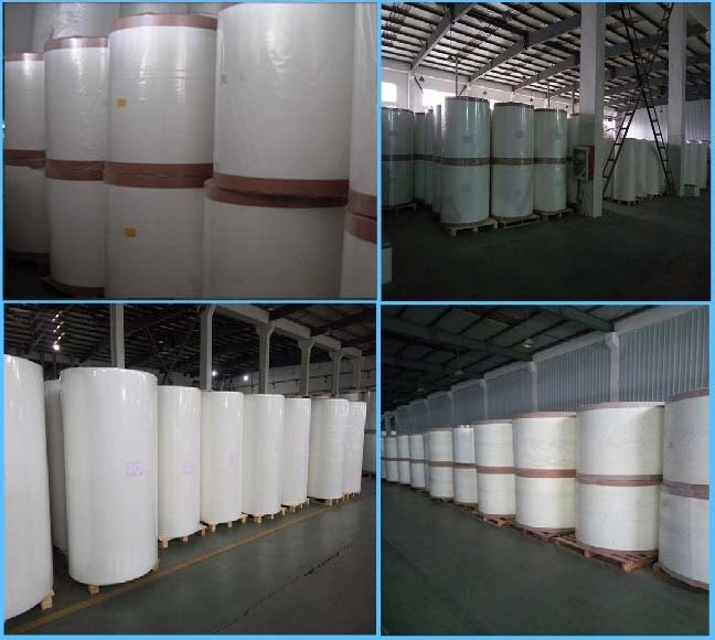 Fiberglass Surface Tissue, Veil, Paper Used for Construction Material